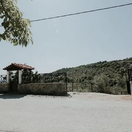 Villa Zen House