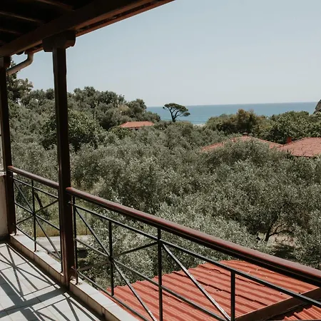 Zen House Potistika
